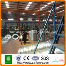 Electro Galvanized Iron Wire